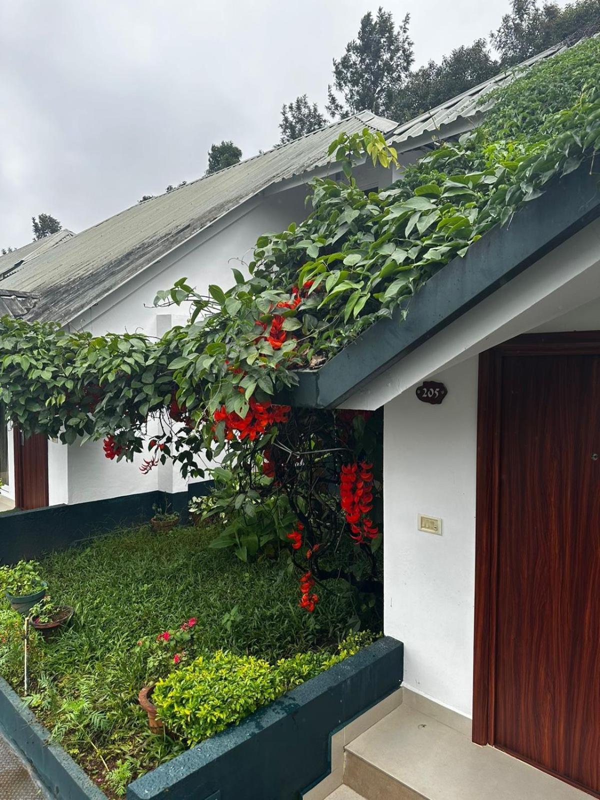 Munnar Tea Hills Resort - Mthr Ngoại thất bức ảnh