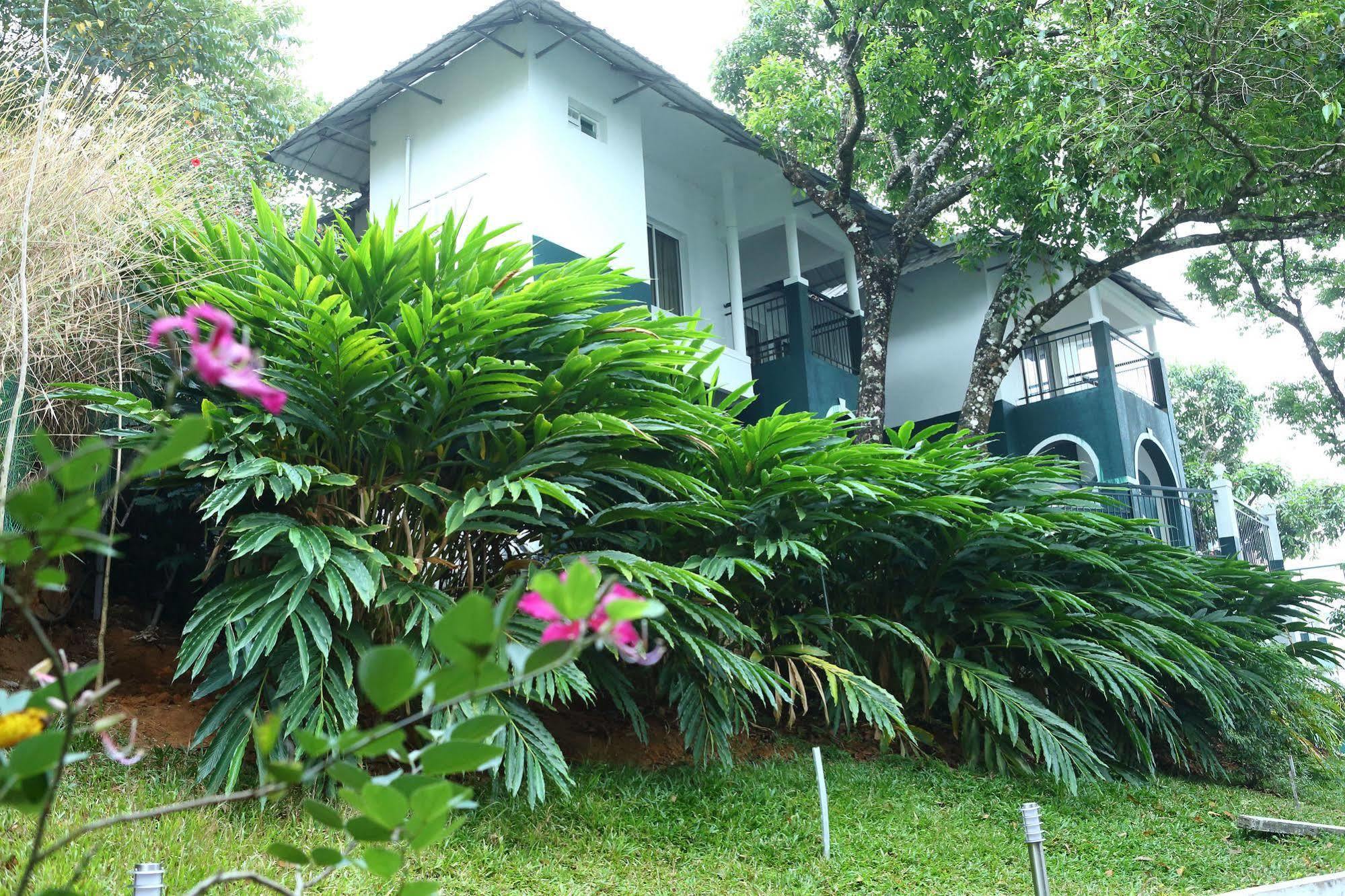 Munnar Tea Hills Resort - Mthr Ngoại thất bức ảnh